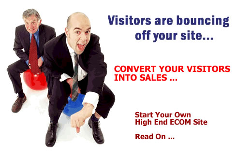 ecommerce websites, ecommerce website solution, ecommerce hosting, secure ecommerce websites, custom ecommerce websites